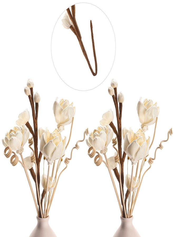 Swiffen 12 Pcs Reed Diffuser Sticks Flowers Reed Set White Wood Flower Aromatic Diffuser for Bathroom Home Bedroom Office Decor Office, Natural Flower - Image 1